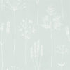 Stipa 112020